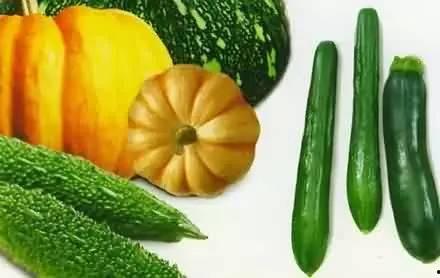 免费请吃瓜的说说,揭秘网络热传的神秘现象 第2张 免费请吃瓜的说说,揭秘网络热传的神秘现象 第2张