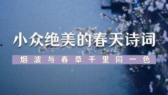 爆料诗词文案视频,短视频爆料背后的文化传承